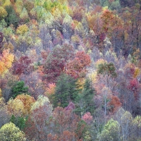 Appalachian Mountains, North America